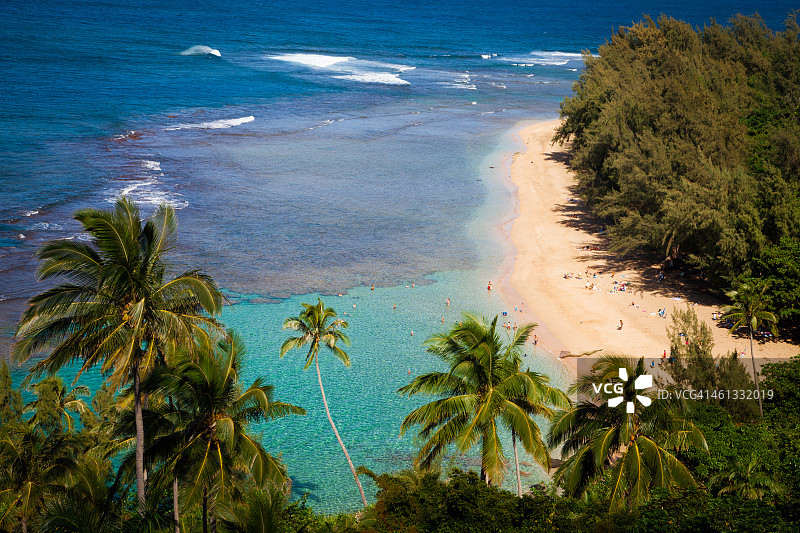 可爱岛柯基海滩图片素材