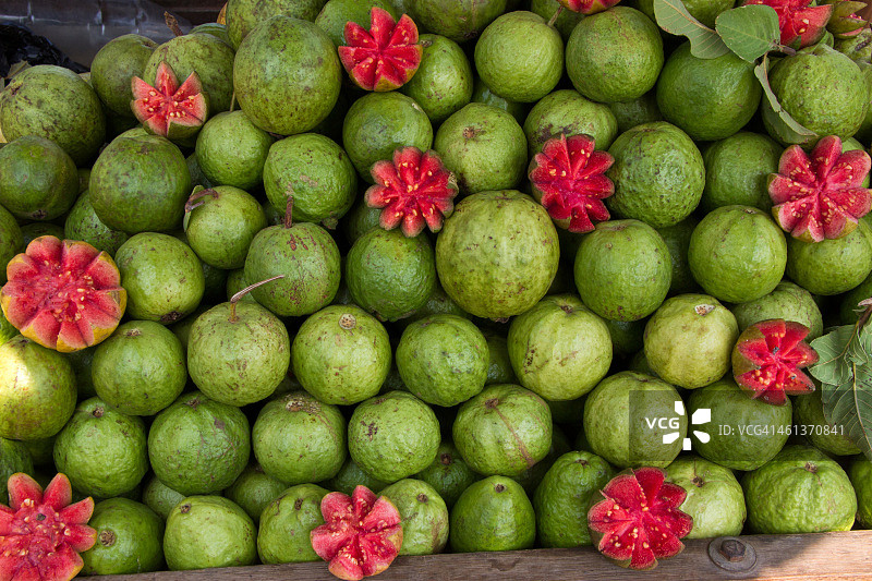 番石榴图片素材