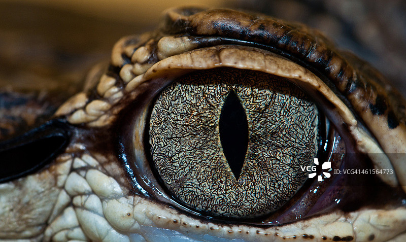 邪恶之眼图片素材