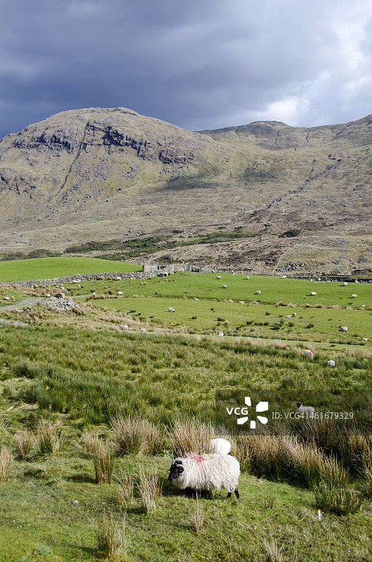 康尼马拉风景图片素材
