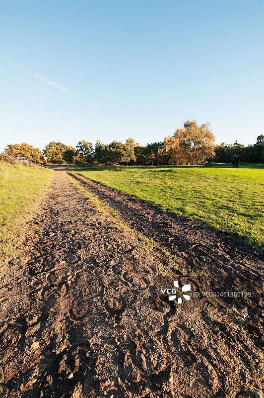 温布尔登马道上的马蹄印图片素材