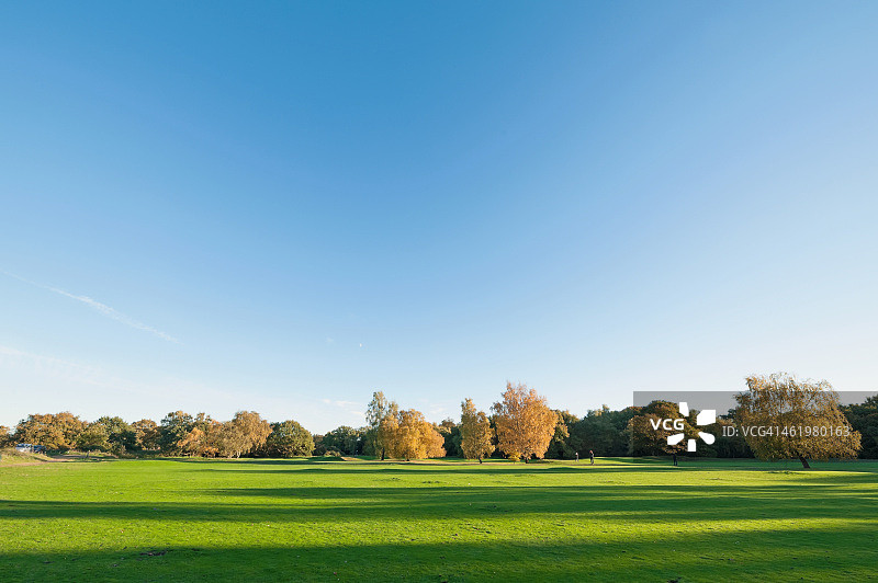 绿草和秋天的树木，温布尔登公共绿地图片素材