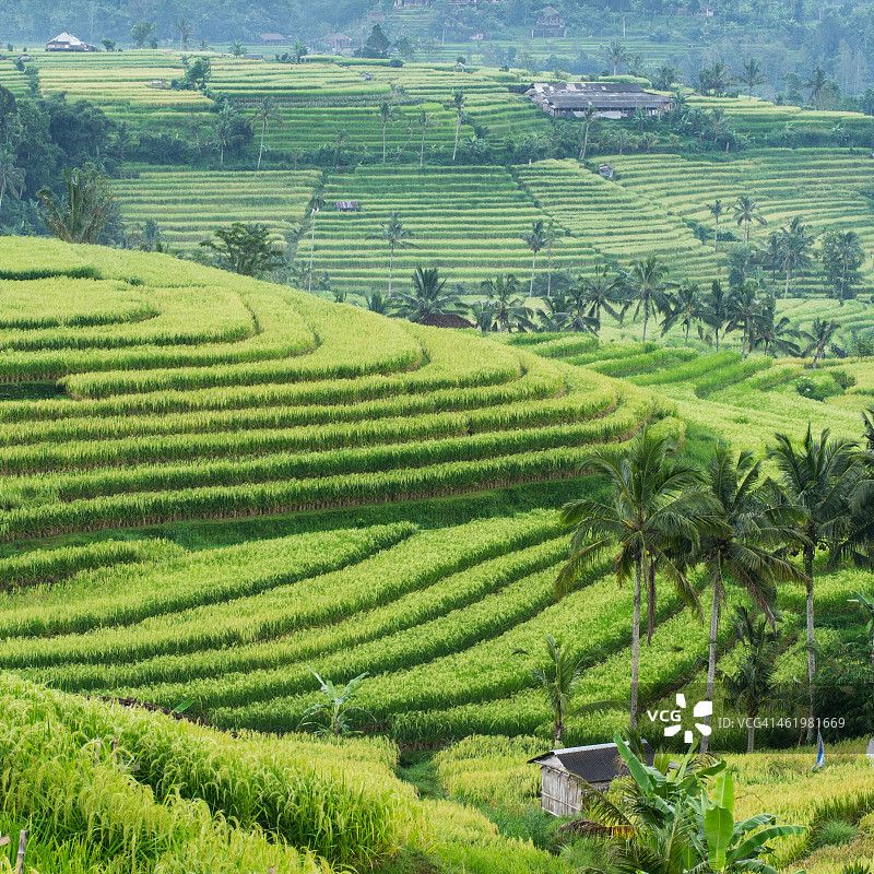 德格拉朗梯田图片素材