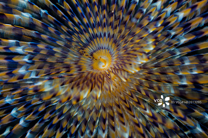 螺线图图片素材