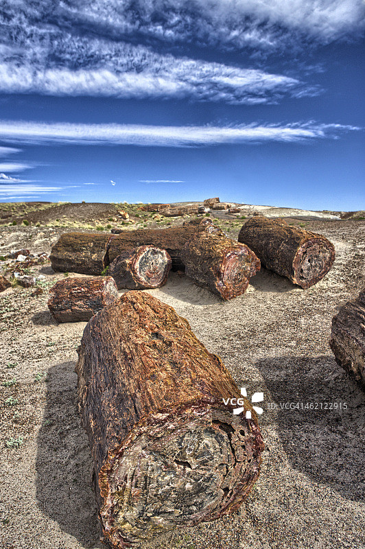 石化森林国家公园图片素材