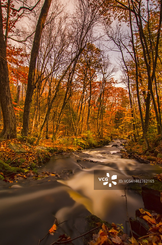 古德温斯磨坊溪图片素材