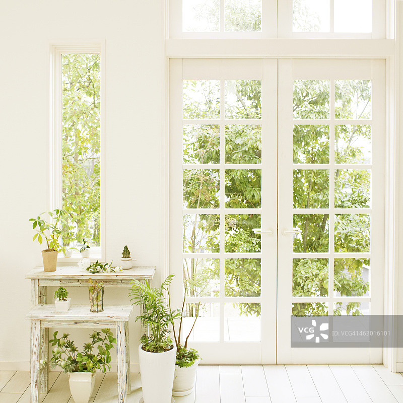 门道附近的植物图片素材