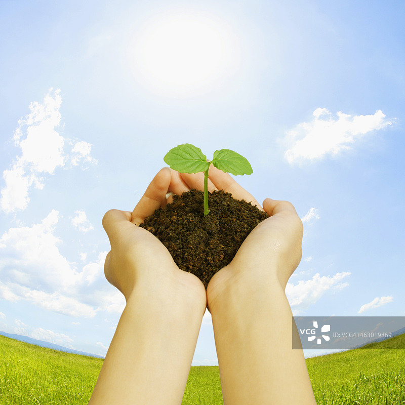 手捧植物的女人图片素材