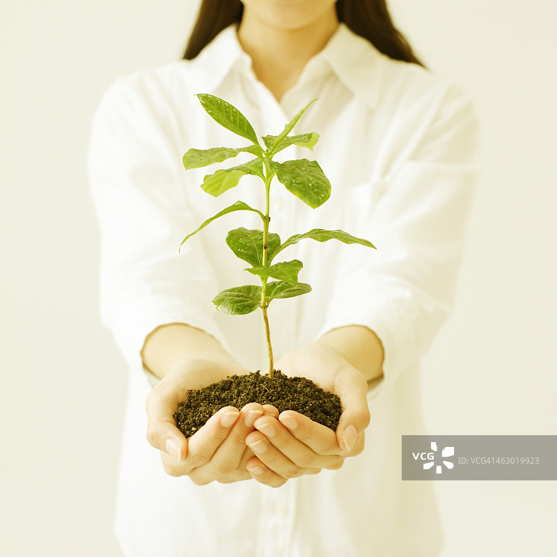拿着植物的年轻女人图片素材