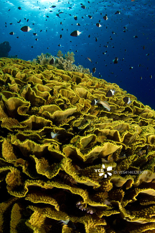 中国南沙群岛牛轭礁图片素材