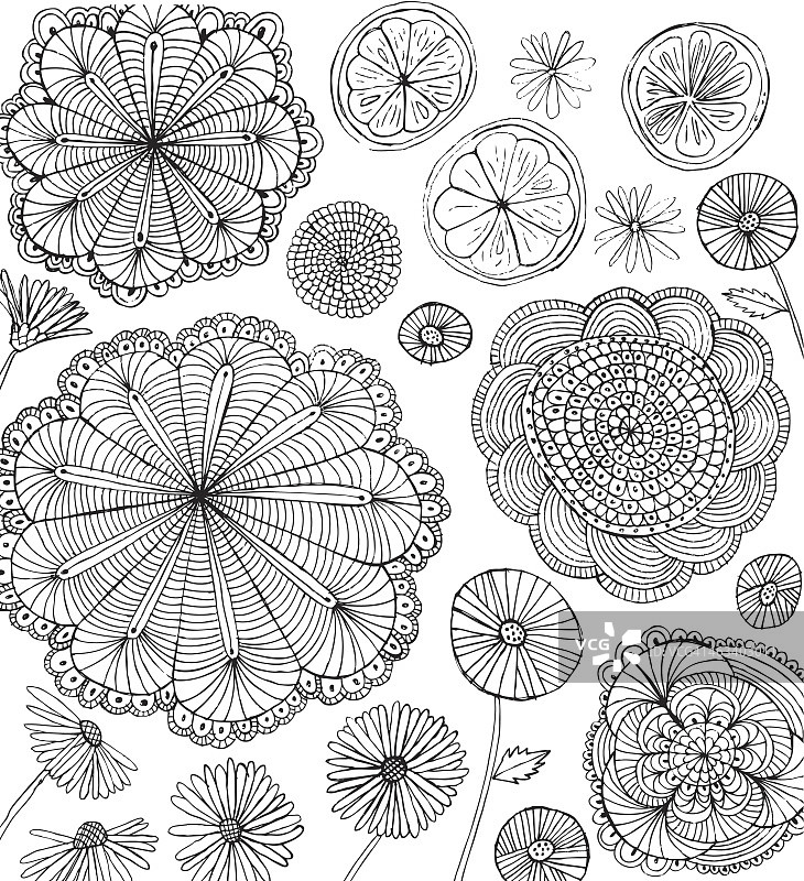 涂鸦向日葵、雏菊、蒲公英和橙子切片图片素材