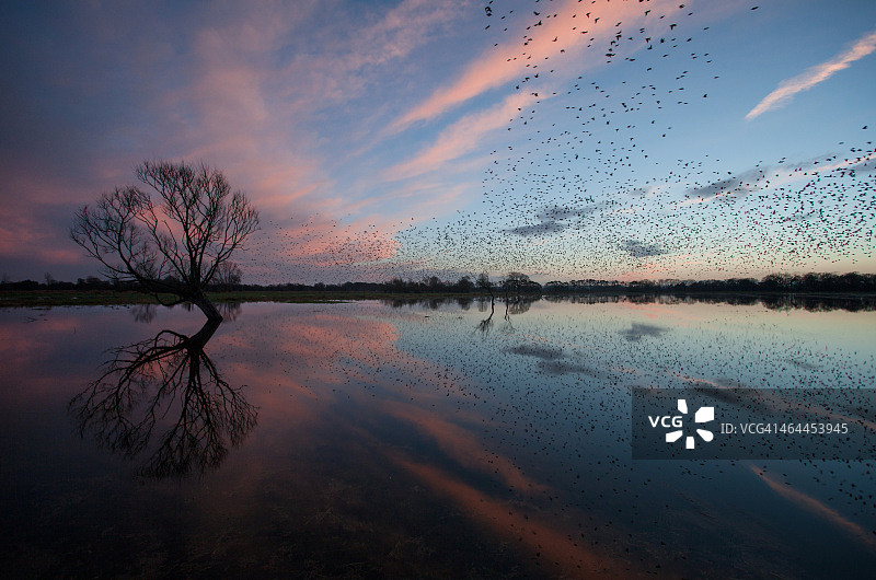 驶向家图片素材