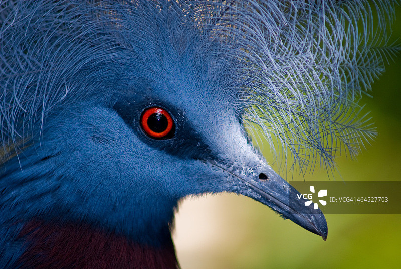 鸟瞰图图片素材