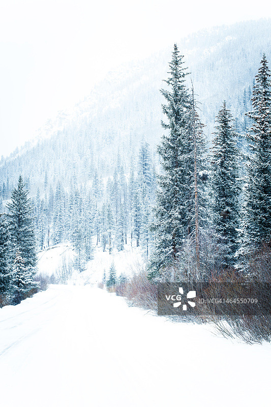 艺术使我们发现自我和迷失自我图片素材