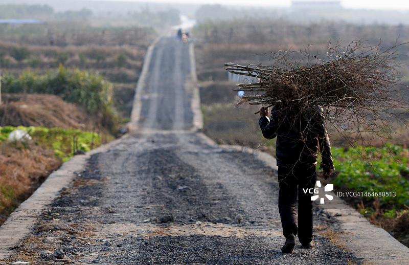 农民的回家之路图片素材
