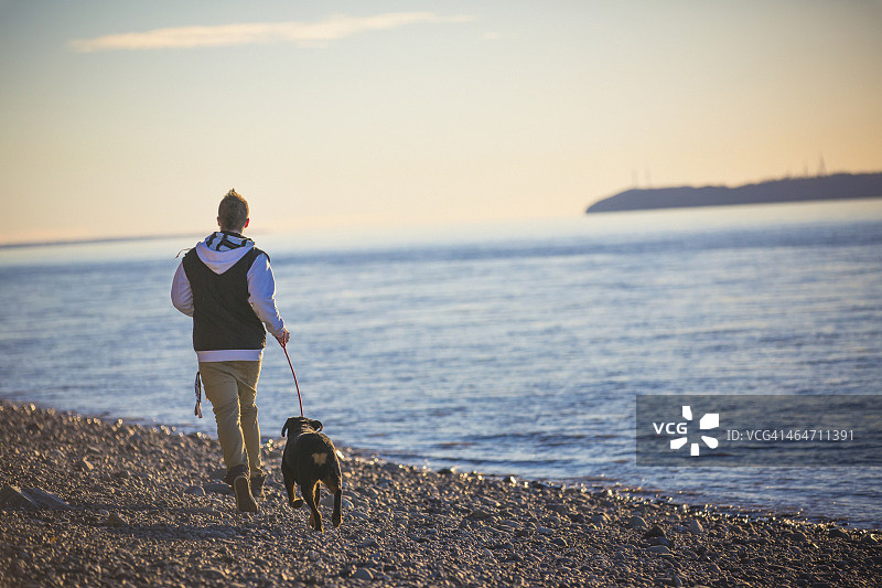 青少年男孩在海滩上和他的罗威纳犬一起奔跑，背景是库克湾和火岛图片素材