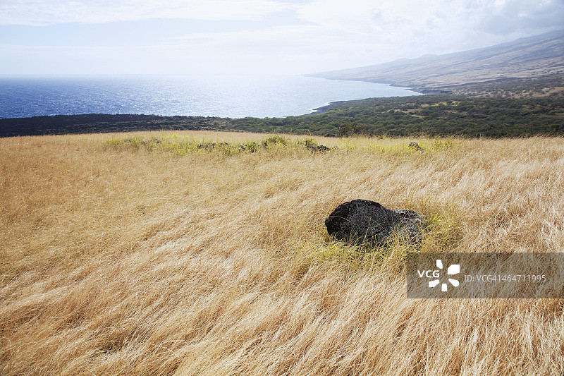 干燥的草地和海岸线的壮丽景色图片素材