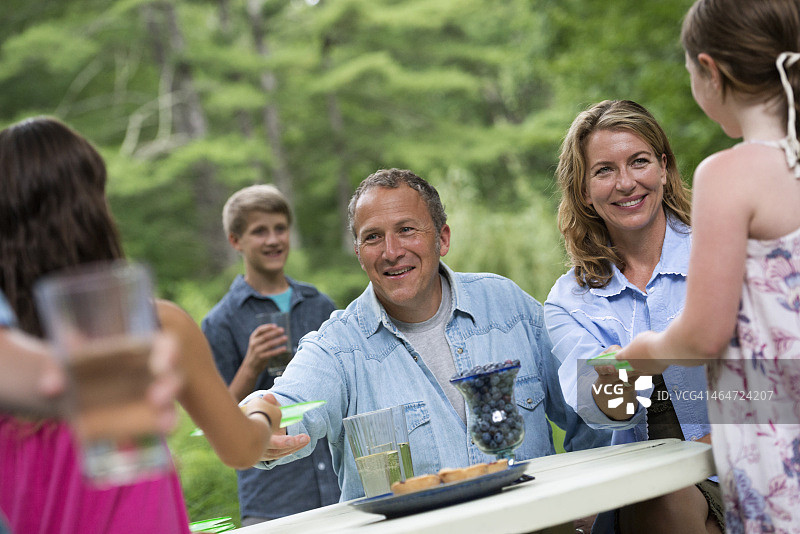 有机农场户外家庭聚会野餐图片素材