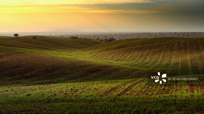 阿连特茹图片素材