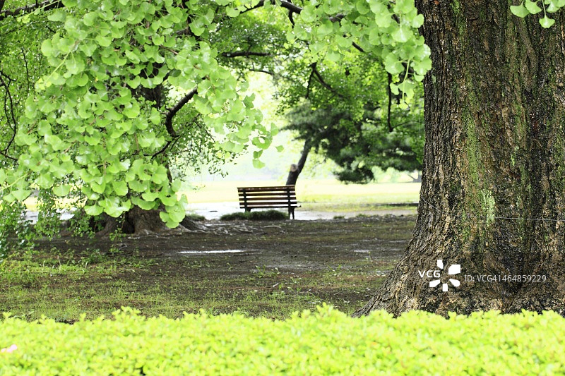雨天的长椅图片素材