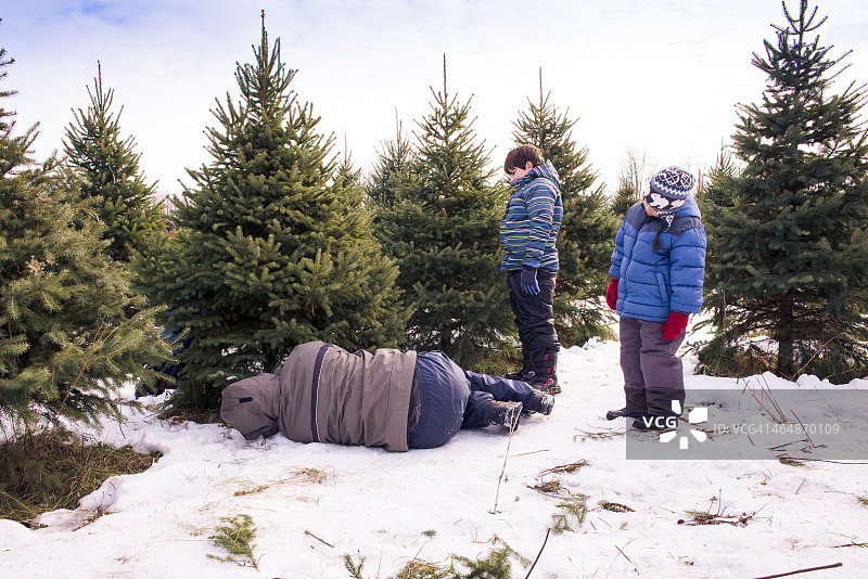 父亲躺在雪地里砍伐圣诞树图片素材