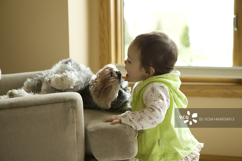 幼儿试图舔小狗图片素材