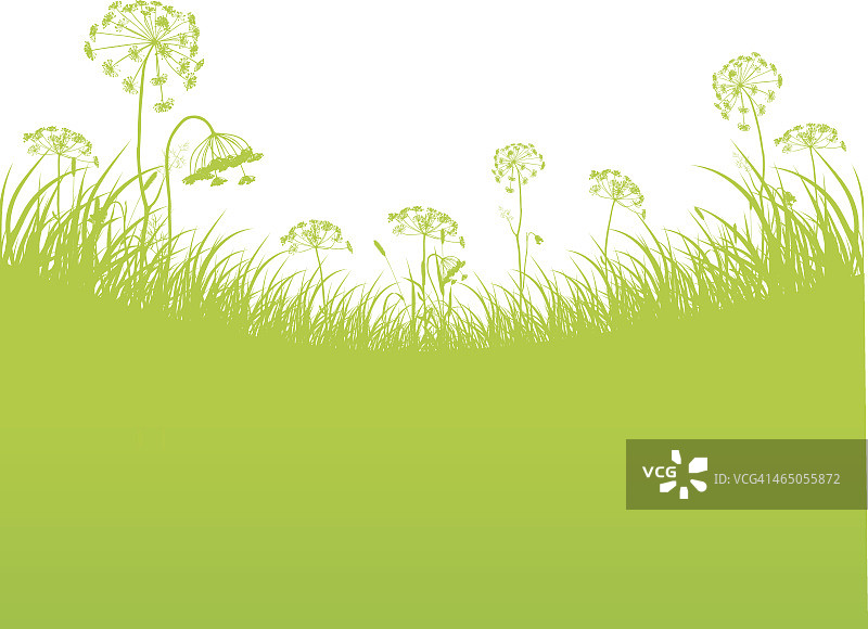 绿色背景及文案空间图片素材