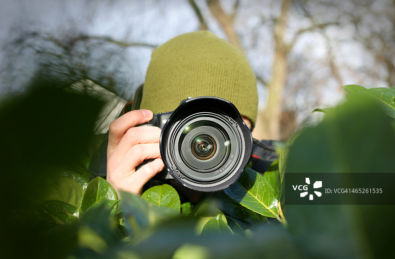 隐藏在灌木丛中的伪装狗仔队图片素材