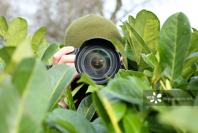 伪装的记者藏在灌木丛中图片素材