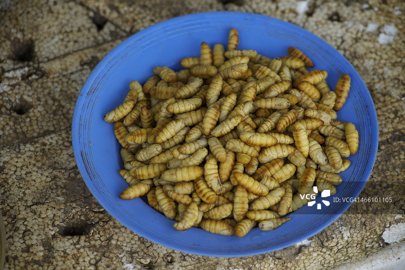 越南巴沙出售的美味幼虫图片素材