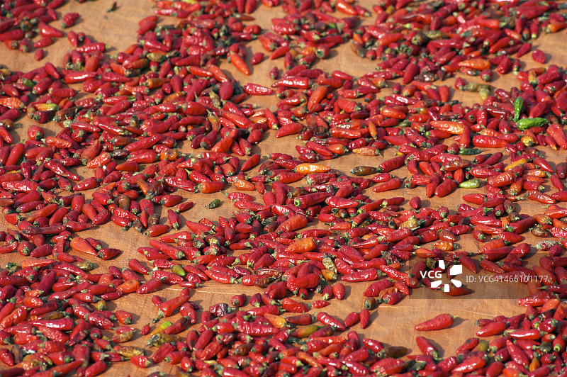 越南市场上出售的红辣椒图片素材