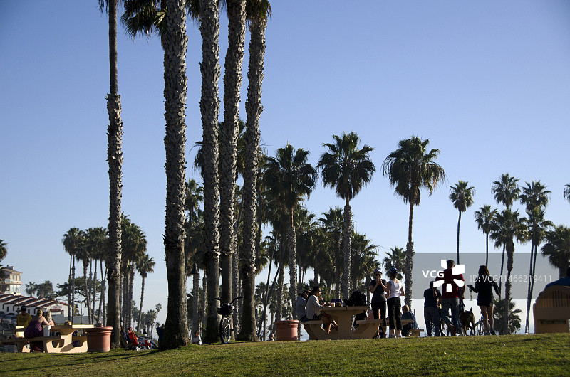 海滩公园图片素材