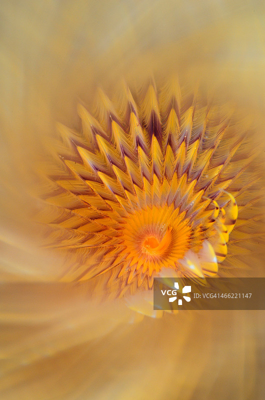 螺旋星系图片素材