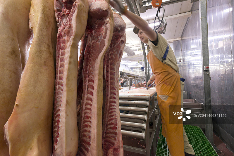 食品加工厂的肉铺师傅切肉图片素材