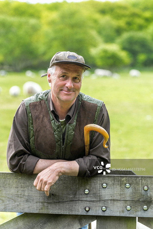 倚靠在栅栏上、带着微笑的牧羊人图片素材