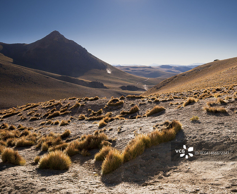 丘陵和蓝天下的草丛图片素材