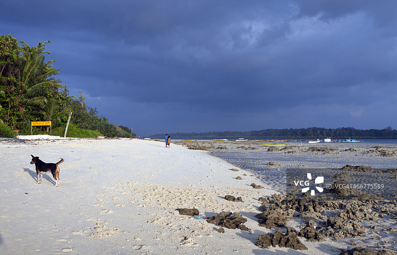 赫夫洛克岛维贾伊纳加尔海滩图片素材