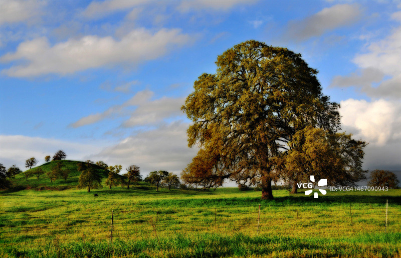 加利福尼亚州中部景观图片素材