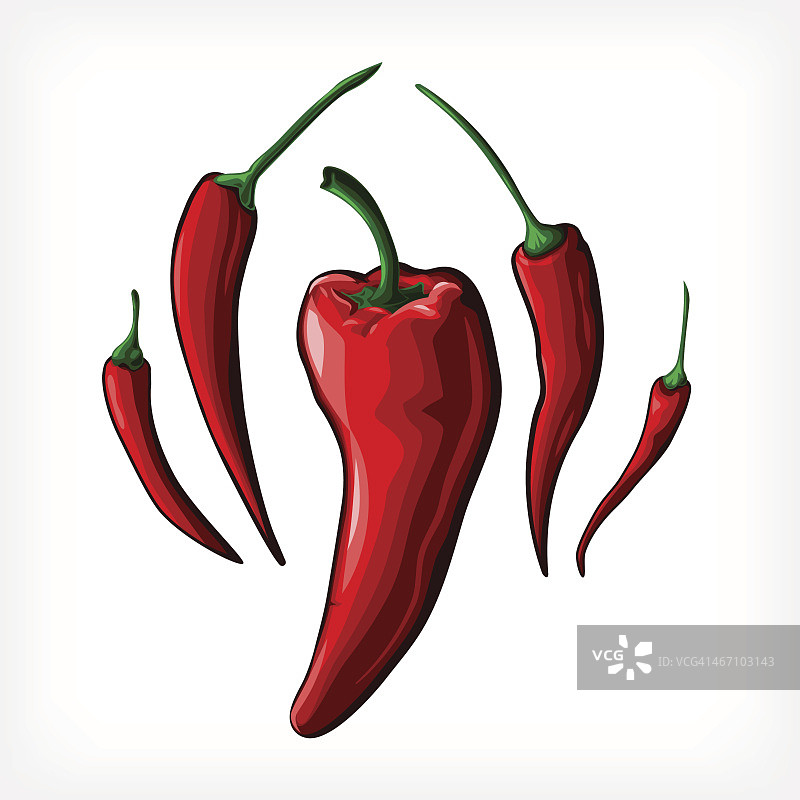 辣椒矢量图图片素材