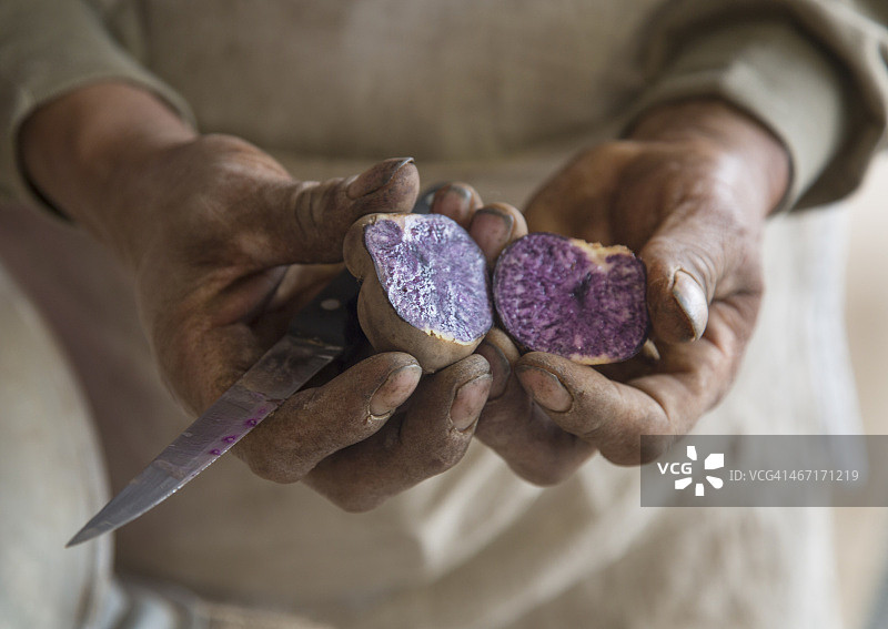 手持紫色土豆切片图片素材