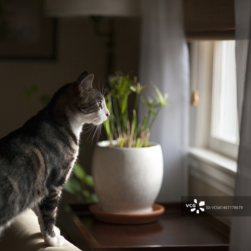 谁在这里？图片素材