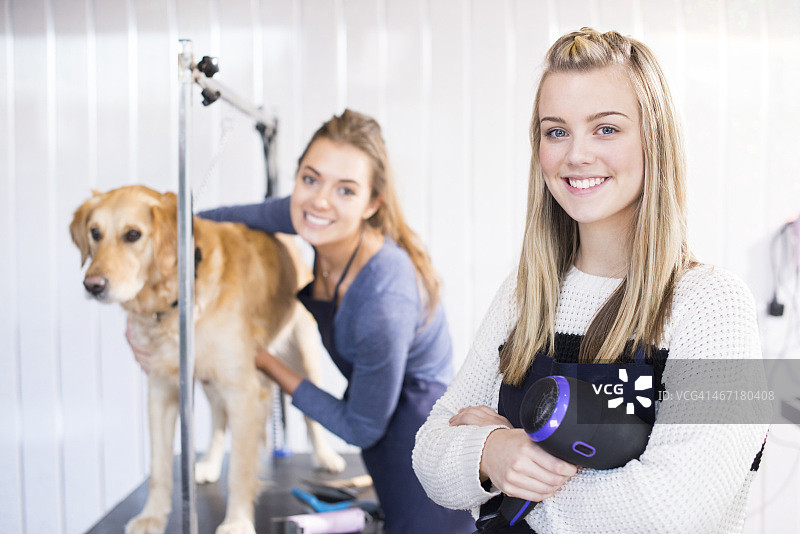 快乐的宠物美容师女孩和金毛寻回犬图片素材