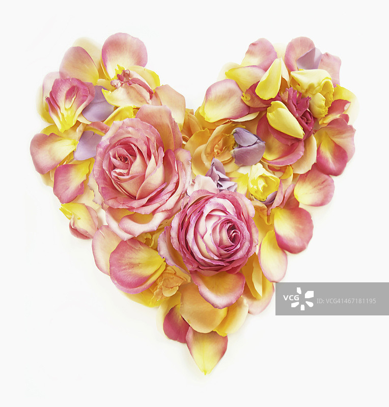 用玫瑰花瓣制成的心形图片素材