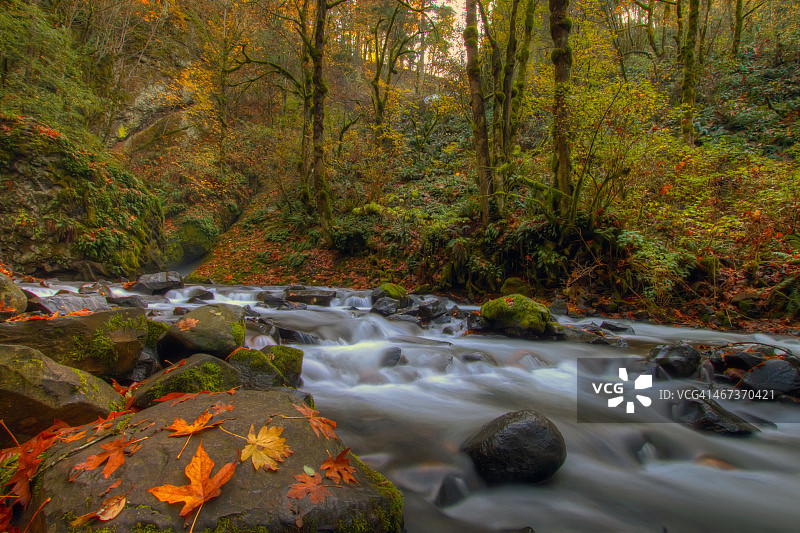 俄勒冈州新娘面纱瀑布州立公园的秋天图片素材
