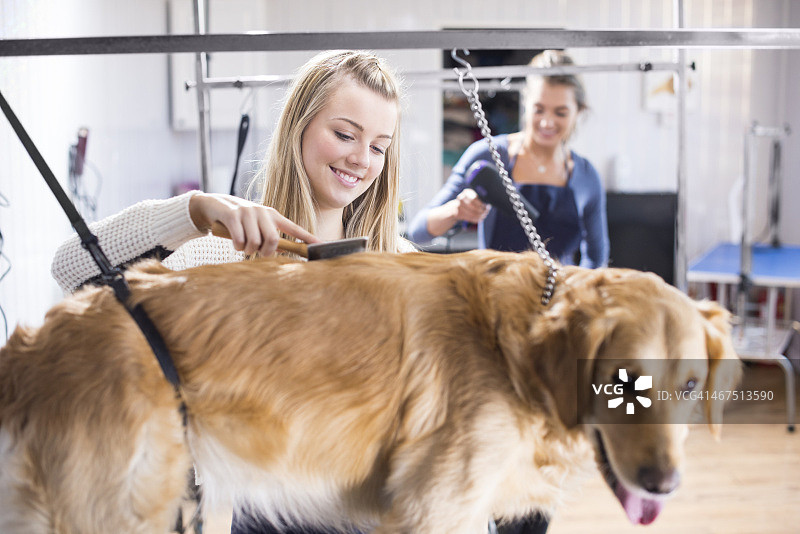 宠物美容店员工图片素材