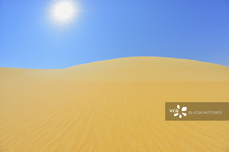 阳光下的沙丘图片素材