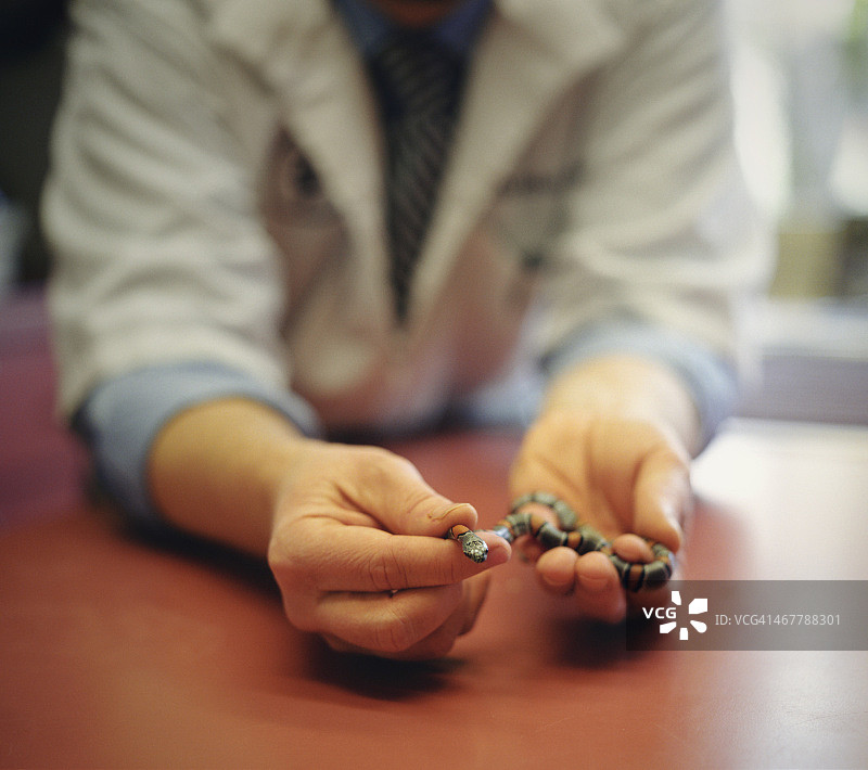 兽医手中握着的小蛇图片素材