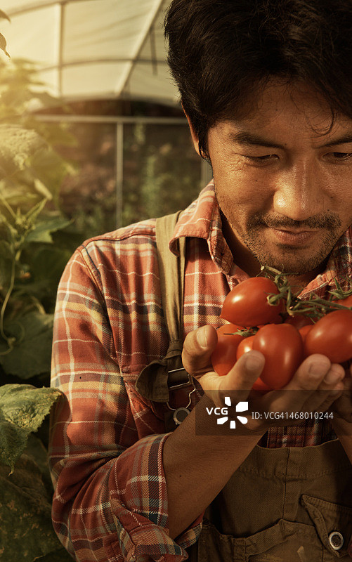 美味的食物图片素材