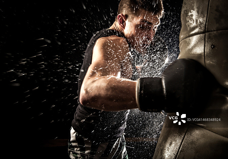 年轻拳击手图片素材