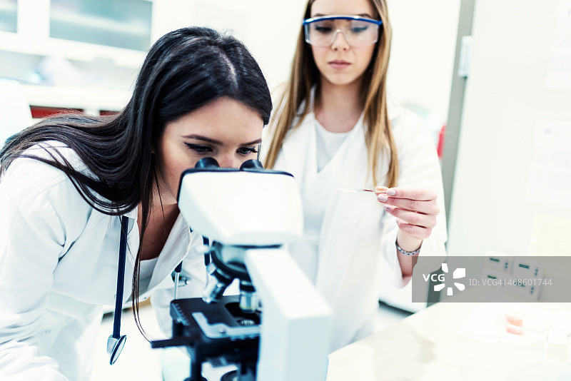 两位女同事在实验室工作图片素材